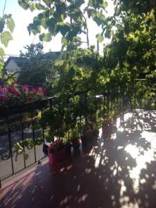 Новое объявление