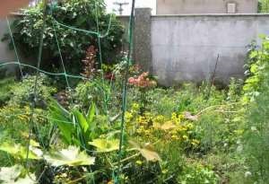 Фотография #2 из 5 - Комфортабельный 2-этажный эллинг в Каче