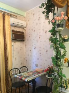 Фотография #5 из 10 - Сдам 1 комнатную квартиру в Крыму, Партенит